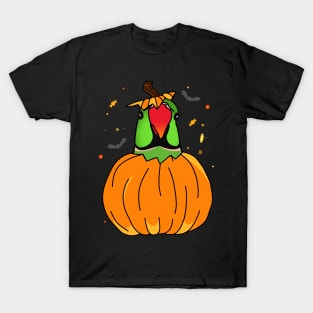 Halloween Green Indian Ringneck Pumpkin T-Shirt